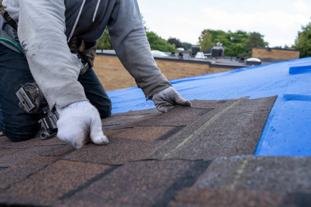 Best Flat Roof Repair Services  in Marsing, ID