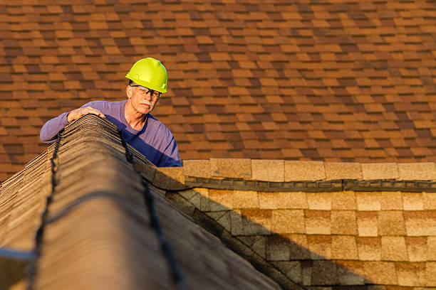 Best Roof Gutter Cleaning  in Marsing, ID